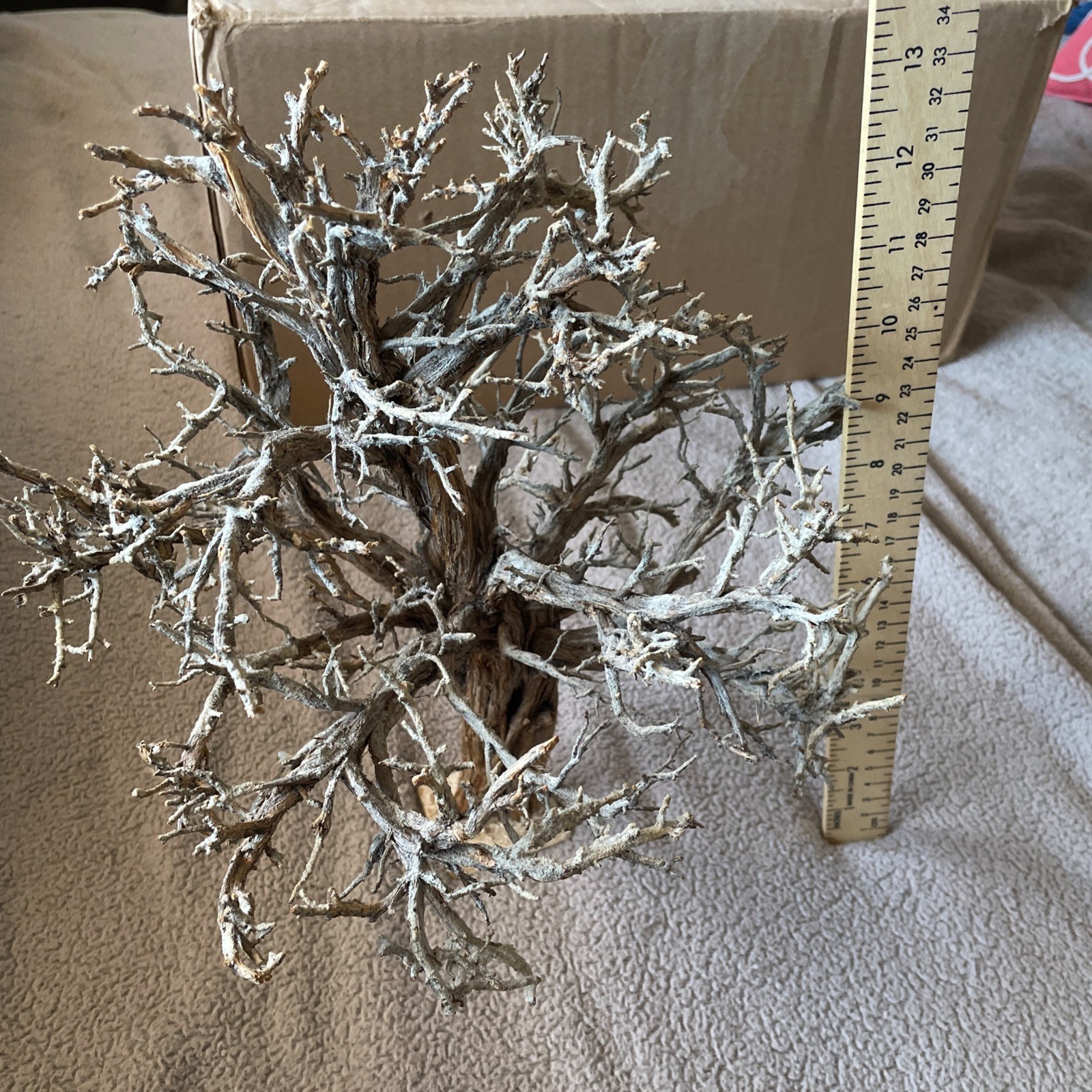 Village Landscapes Large Fall Tree No Leaves Brown 12.5 Inches Tall And 12.5 W