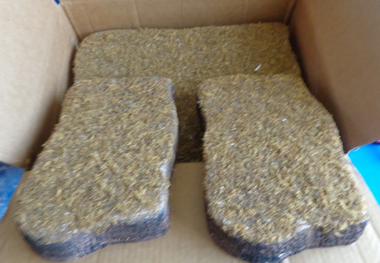 LEMAX HALLOWEEN MOSSY LANDSCAPE DISPLAY PLATFORMS FOR SPOOKY TOWN VILLAGE