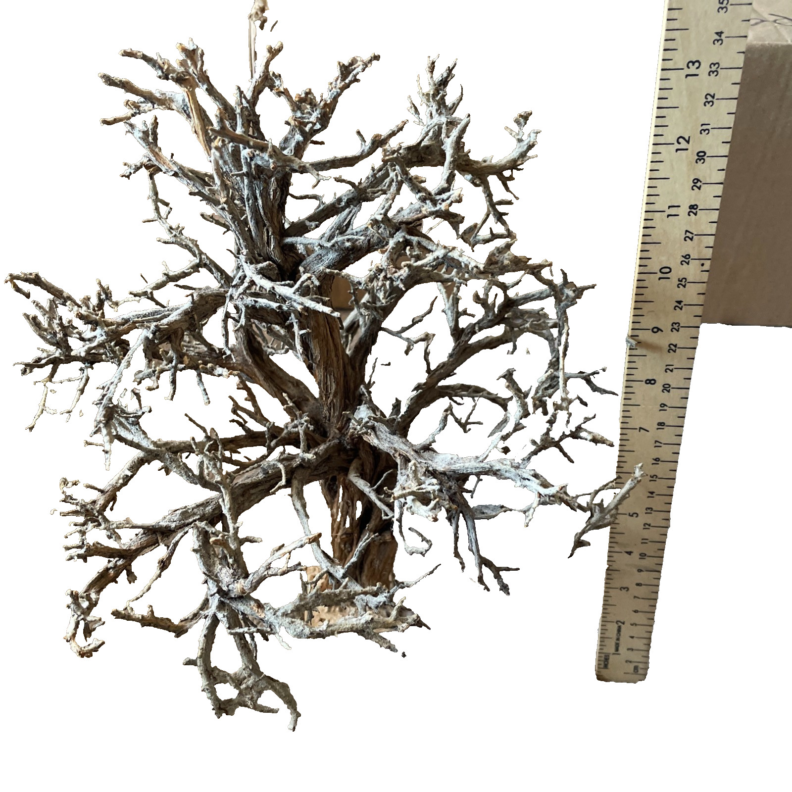 Village Landscapes Large Fall Tree No Leaves Brown 12.5 Inches Tall And 12.5 W