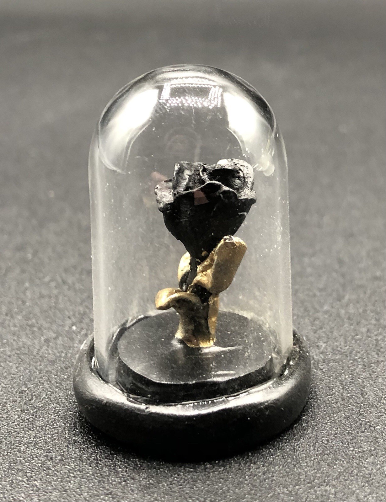 BLACK ROSE IN CLOCHE mini decoration ASHLAND HALLOWEEN MINIATURES gothic love ￼