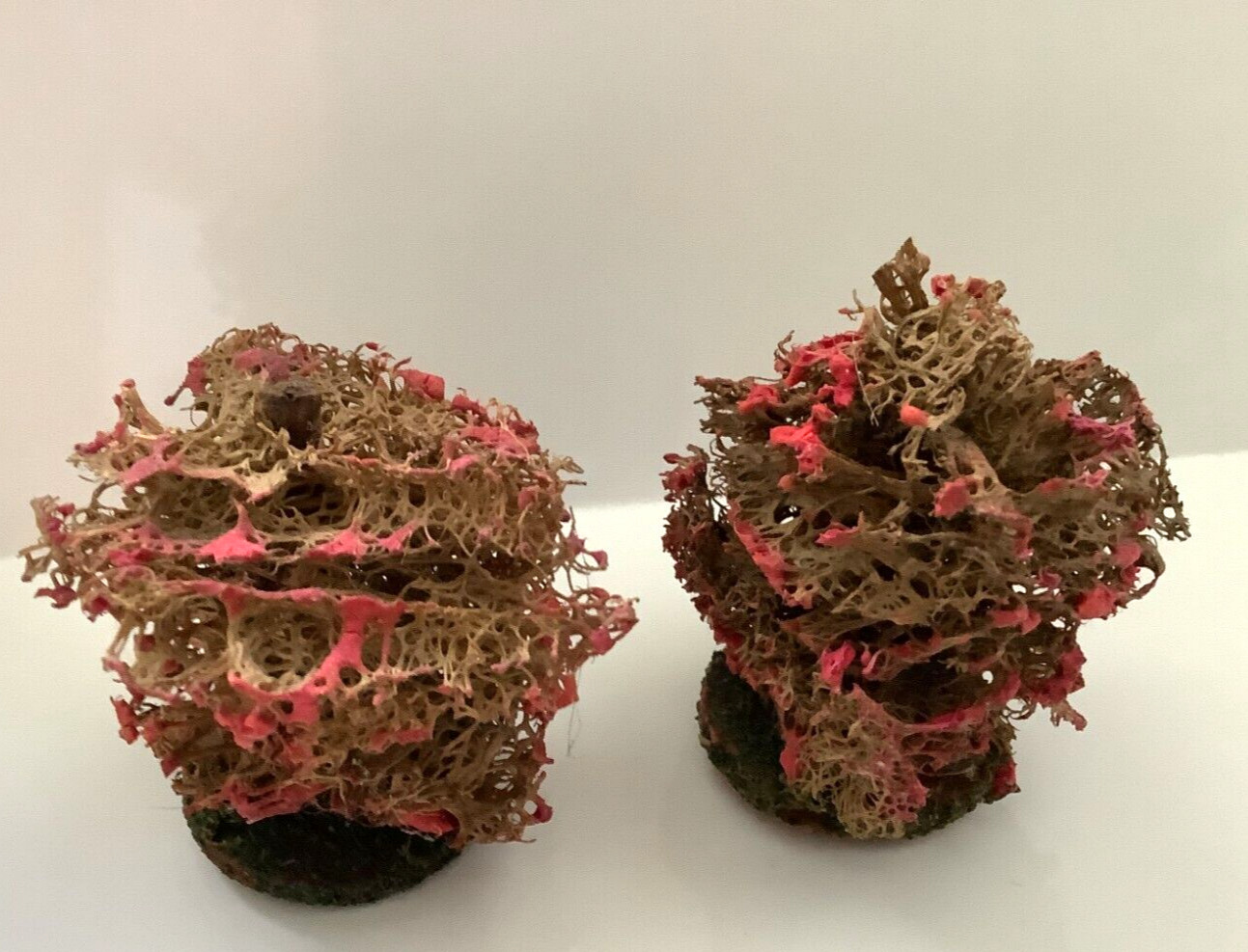 Vintage Antique Pair Erzgebirge Loofa Pink Painted Bushes Nativity Putz German