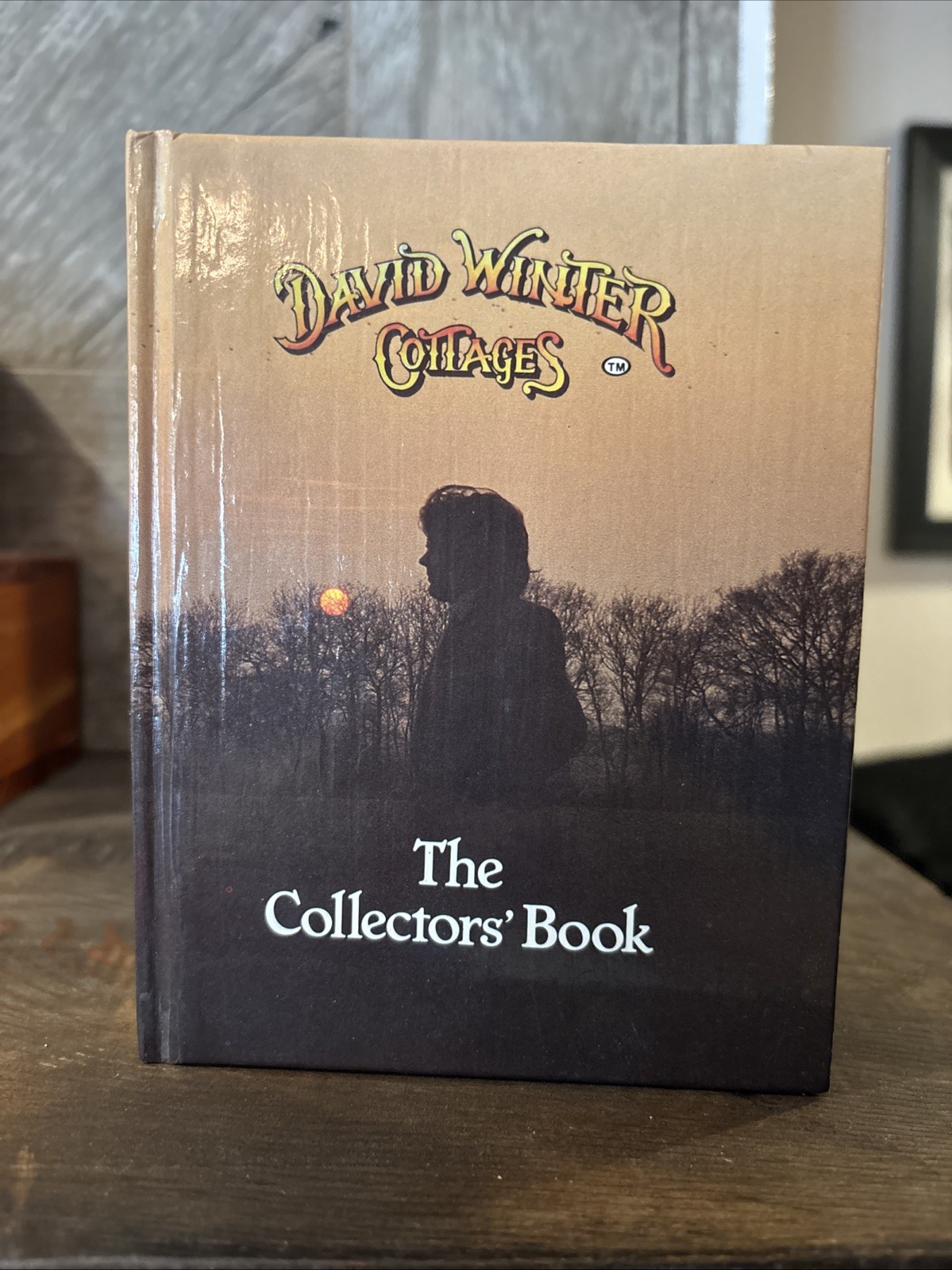 David Winter Cottages The Collectors’ Book – Hardback – Vintage – 1985 – – EUC