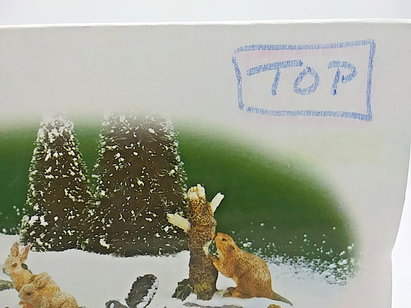 Department 56 Heritage Village Woodland Wildlife Animals Small Set 5 #56.55525