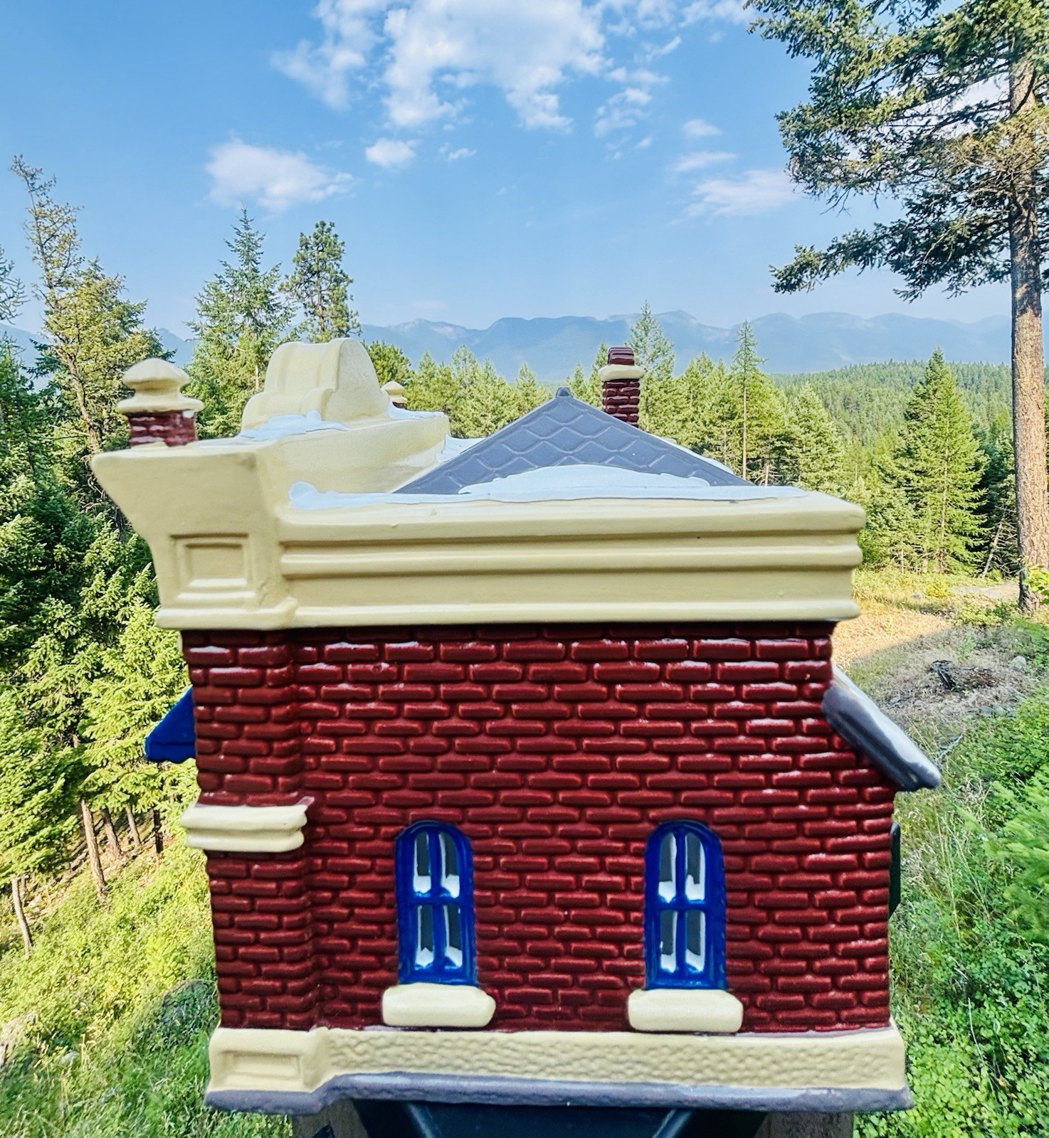 Department 56 Village Vet and Pet Shop The Original Snow Village #54275