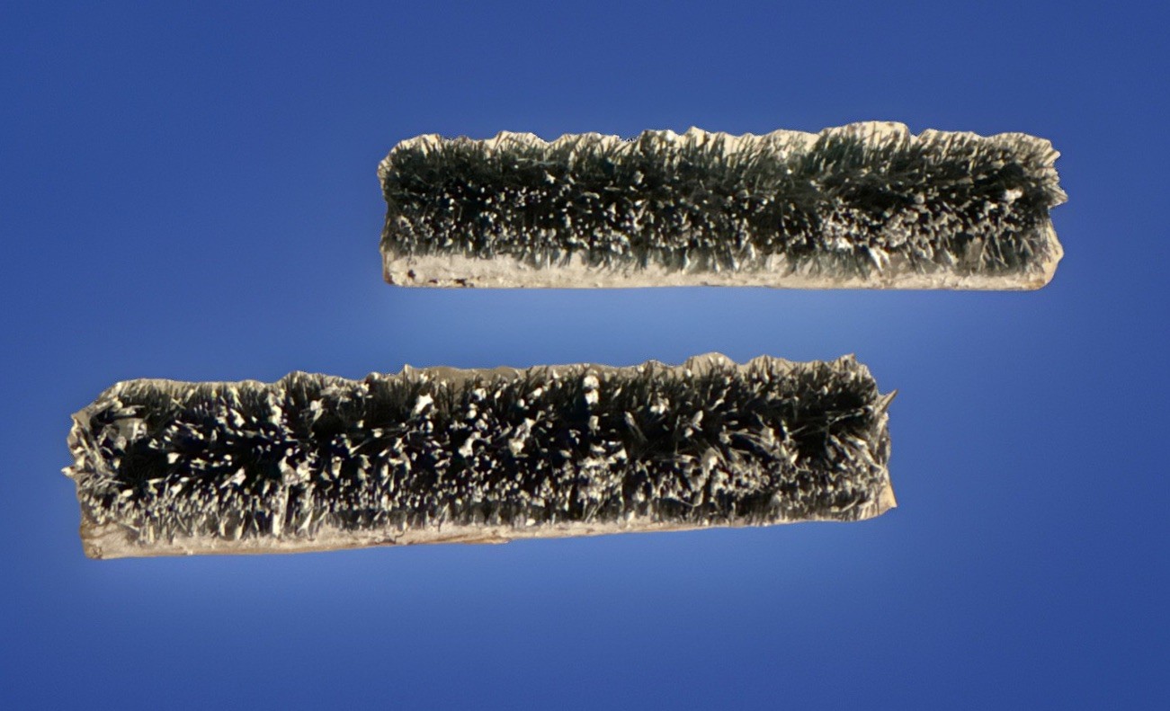 “Village Hedge” SET OF 2 – 6 Inches