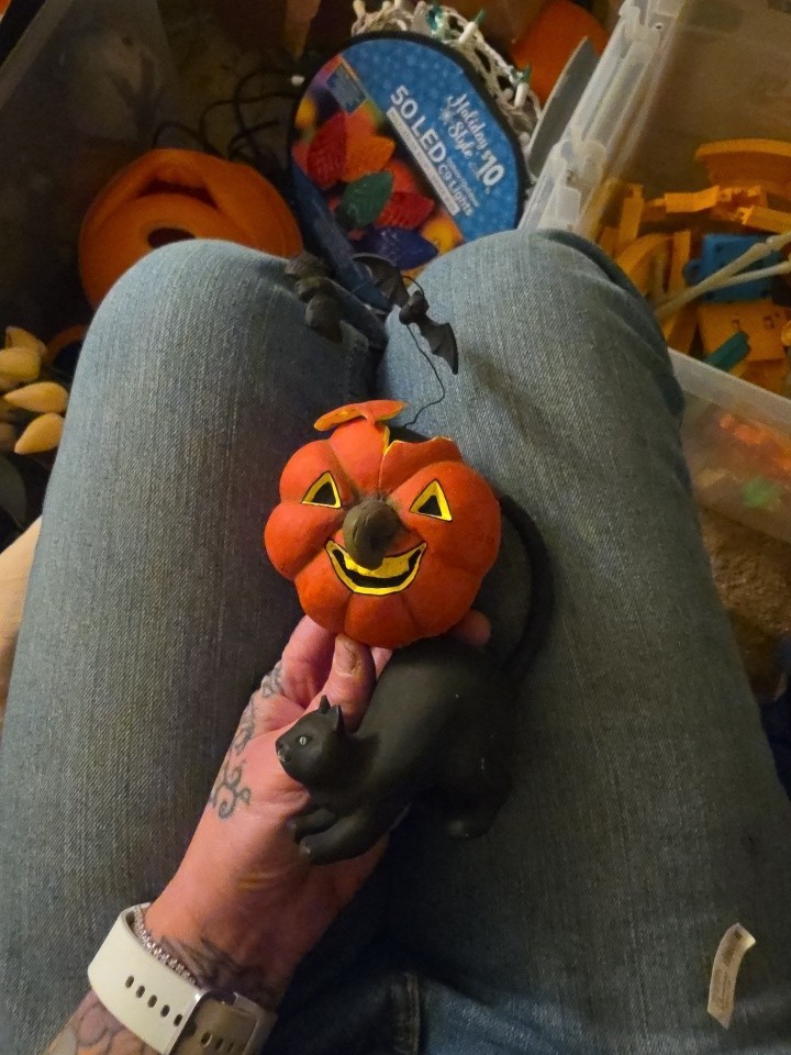 Halloween Decor Black Cat + Pumpkin / Jack-O-Lantern + Bat Figure Dept 56? READ